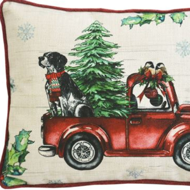No Decorative Addition Reversible Pillow Insert