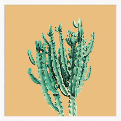 Sherbet Cactus 1 par Christopher Kennedy - cadre photo, impression sur papier