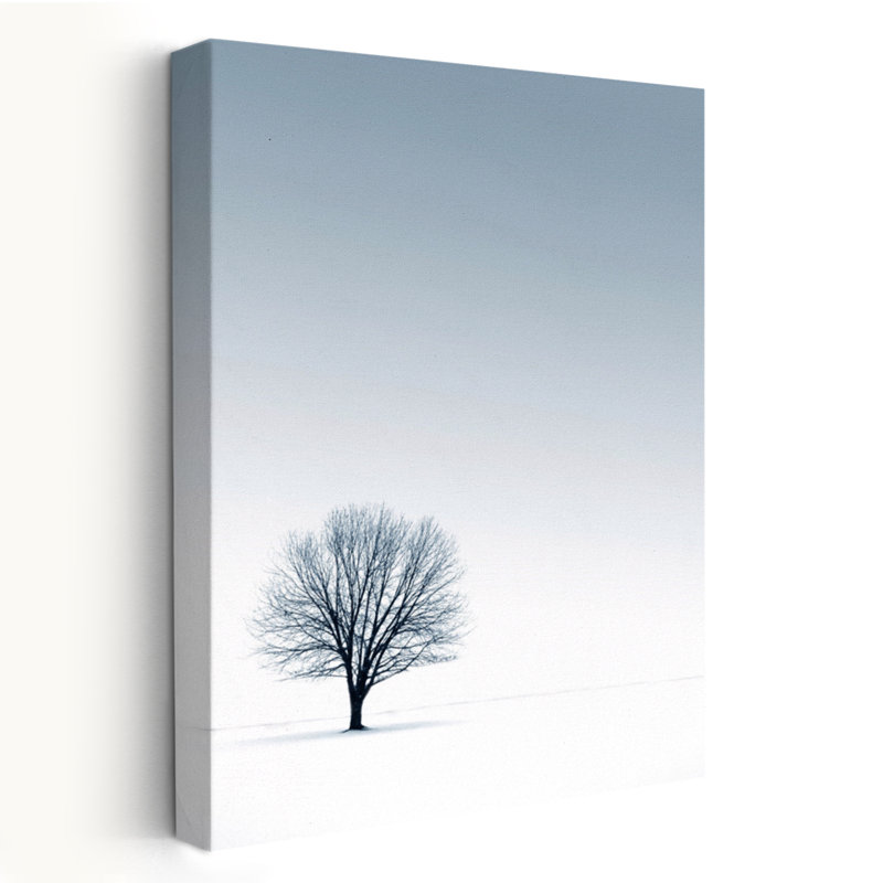 Arbre dans un paysage d'hiver - paysages, photographie, brouillard, art, H 48 po x l 32 po