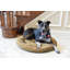 Lit rond / ovale pour chat-6347895