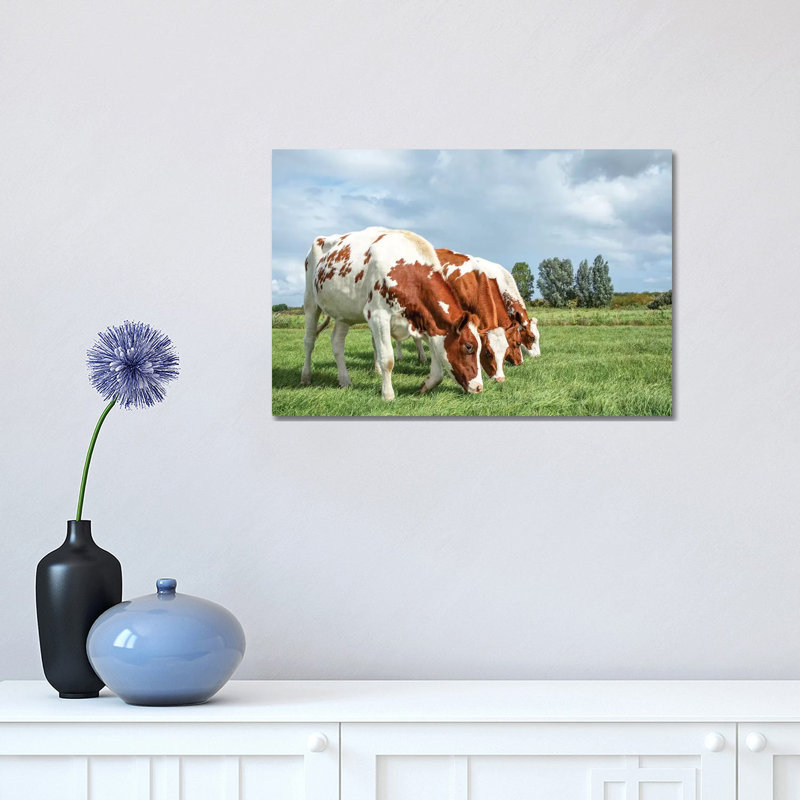 Four Cows on a Row 1 Piece Wrapped Canvas Wall Art, 30.48 cm H x 45.72 cm W