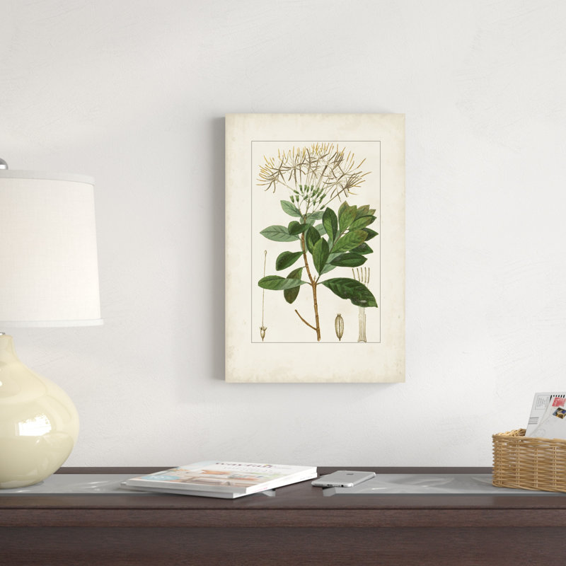 Antique Turpin Botanical II, H 18 po x l 12 po