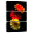 Harnek Three Luminuous Daises