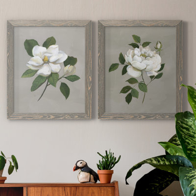 Magnolia botanique - ensemble de 2 reproductions d'art