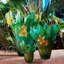 Tressage Handmade Crystal Table Vase
