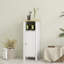 Freestanding Bathroom Cabinet
