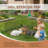 24in Foldable Metal Exercise Pen/pet Playpen