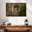 Lilie Muckross Abbey Arches-108155660
