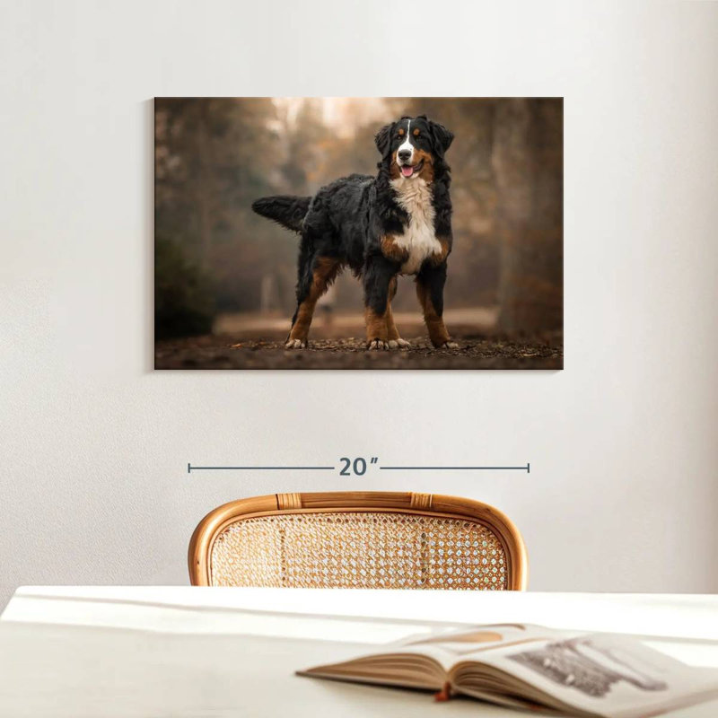 Brampt Bernese Mountain Dog, 16" H x 24" W