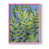 Pink Single Picture Framed is unavailable