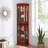 Display Cabinet, Glass, Corner Curio With Lights, Adjustable Tempered Shelves, Mirrored Back