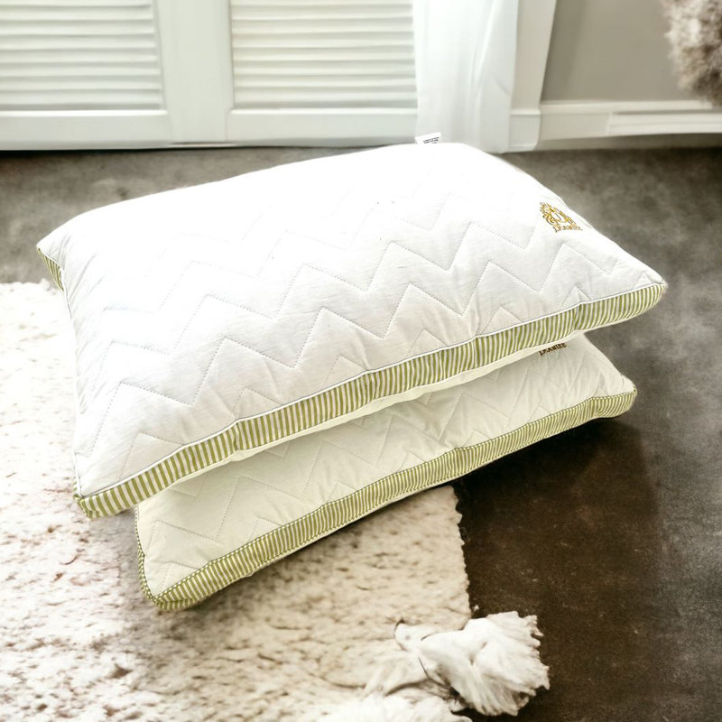 Coussin en coton 2 pièces Feathers