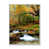 Toile avec cadre flottant blanc