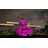 Solar LED Projection & Strobe Lights
