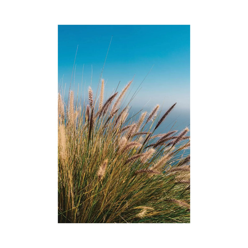 «Wild Big Sur» par Bethany Young - reproduction de photo sur toile tendue, H 18 po x l 12 po x 1,5 po