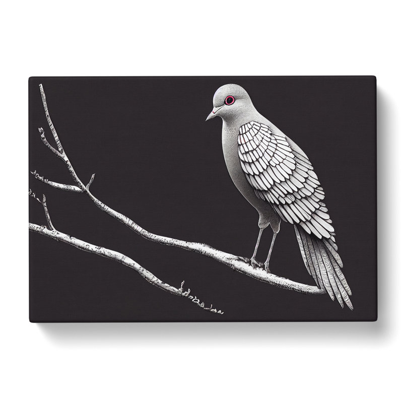 Alluring Dove Bird - Wrapped Canvas Print, 50cm H x 76cm W x 3cm D
