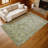 Machine Washable Indoor/Outdoor Matteson ACN2298 Global Rug-78482373