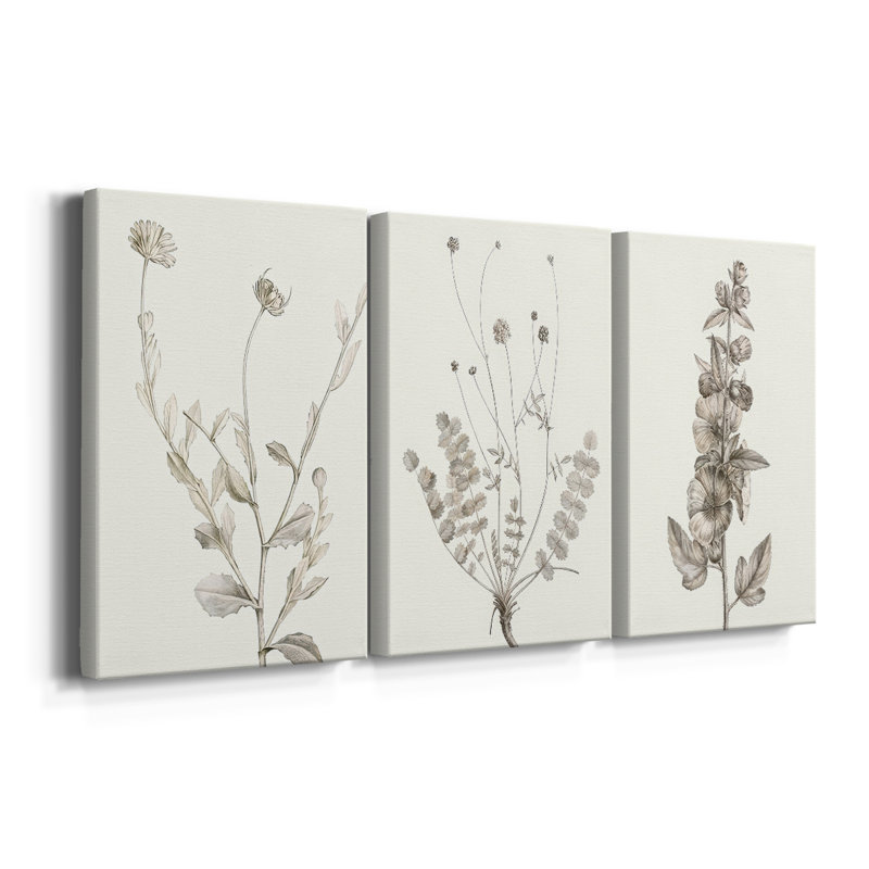 Neutral Botanical Study IV - Toile tendue sur mesure avec châssis - 3 pièces, H 12 po x l 24 po