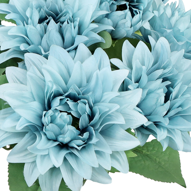 Buissons de dahlia, Bleu