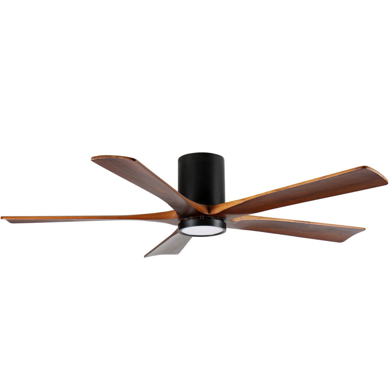Ventilateur de plafond avec lumière, plafonnier encastré, 5 pales en bois massif, moteur CC réversible silencieux, application et télécommande, DEL à spectre complet à intensité variable, conception de plafond sans pente
