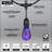 Kallie 10 - Bulb 30 in. Plug-in Standard LED-2002467218