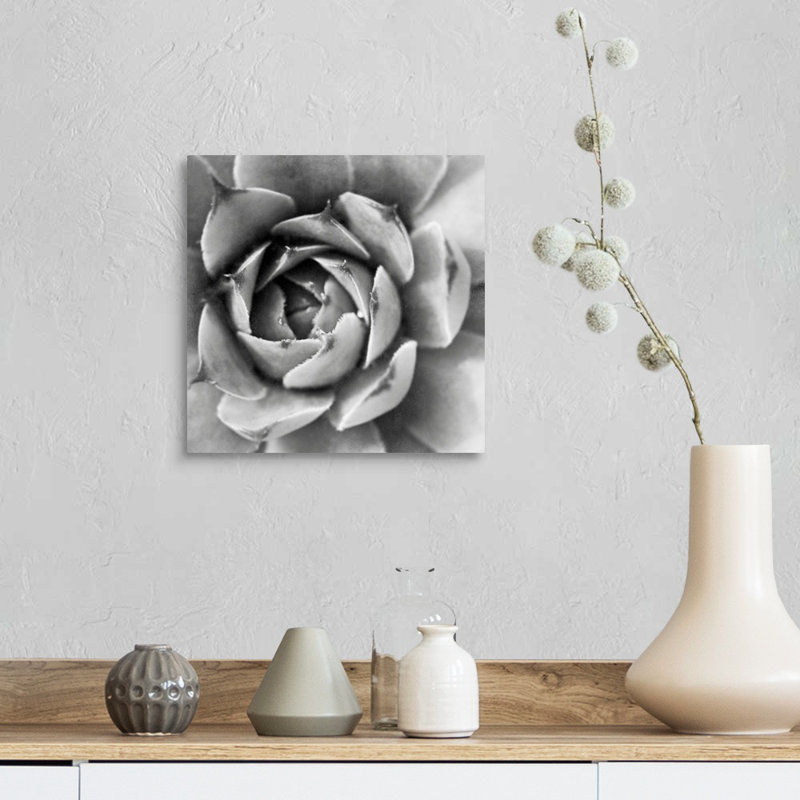 «Garden Succulent II», art mural sur toile, Toile tendue, H 12 po x l 12 po x P 1,25 po