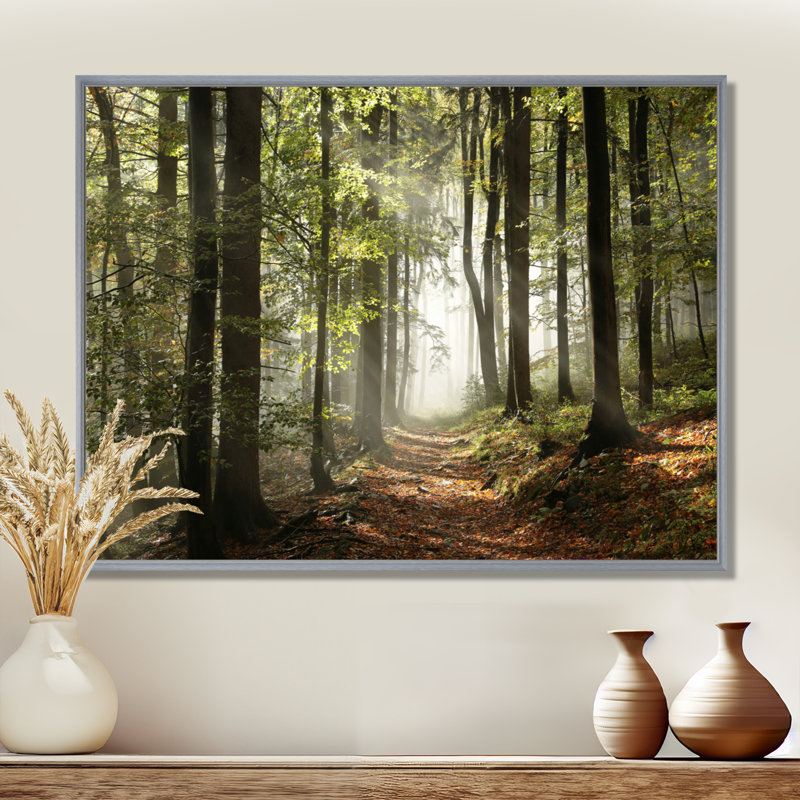 «Green Fall Forest with Sun Rays - Forest», reproduction de photo, H 30 po x l 40 po , Argent argent