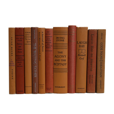 Decorative Books - Vintage Canyon Book Bundle - 1 Foot of Orange Books