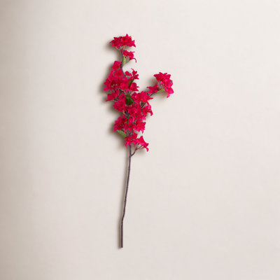 Bougainvillea Floral Stems