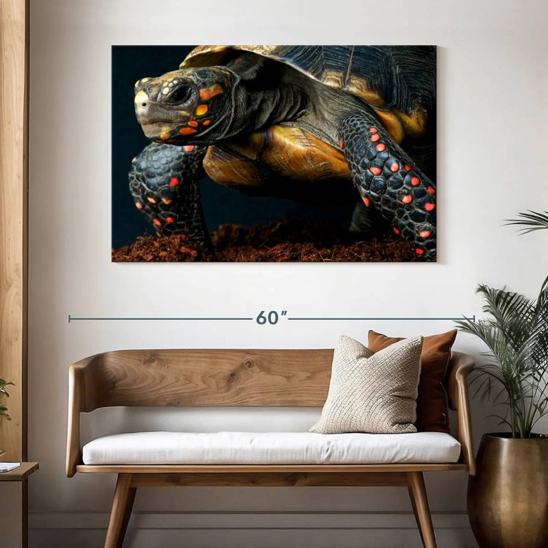 Brampt Amazon Red Footed Tortoise, 32" H x 48" W