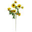 Artificial Arrangement