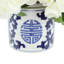 Begonia Arrangement In Ornamental Ceramic Vase-658148959