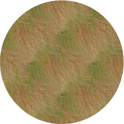 Jasinski Indoor Rug