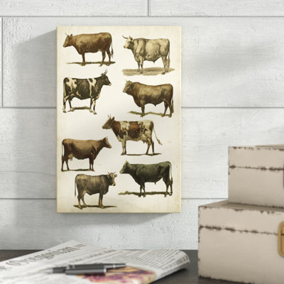 Antique Cow Chart - Painting on Canvas