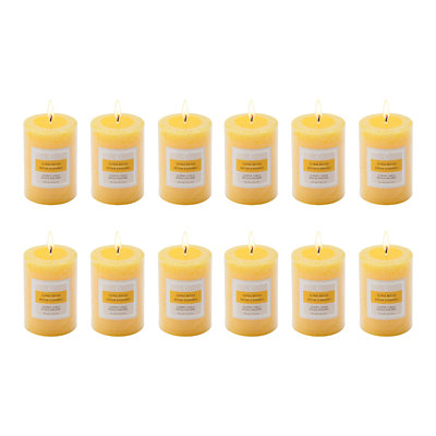 Haight 2" X 3" Scented Pillar Candle Citrus Nectar 12/Disp - Set Of 12
