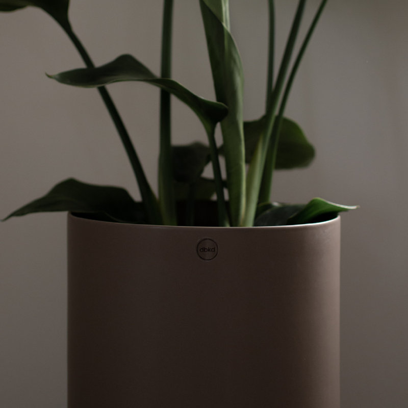 Earthenware Table Vase, Dust