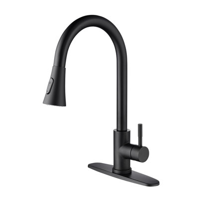 Kitchen Faucet With Pull Out Spraye