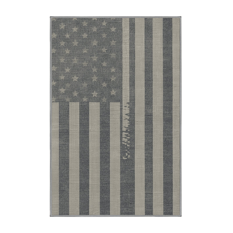 Soft Plush Esqueda July 4Th Modern & Contemporary Abstract Area Rug in Gray – Gray Binding, 8x10