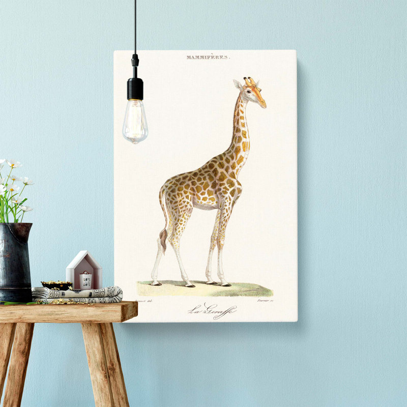 Giraffe by Florent Prevos - Wrapped Canvas Painting, 50cm H x 35cm W x 3cm D