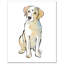 « yellow labrador dog black », impression-23148338-23148334
