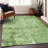 Machine Washable Indoor/Outdoor Chayden ACN1062 Rug-1783187068