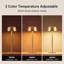 Paquet de 1 lampe de table rechargeable sans fil avec 3 couleurs, commande tactile, pour une utilisation intérieure ou extérieure, pour le dîner, le restaurant, la chambre à coucher, le jardin (or)-109567626