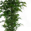 180cm Faux Tree in Pot Liner
