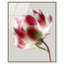 Crimson Core I Print-236243931-28942199