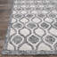 Tapis gris Silverthorne-1555525915