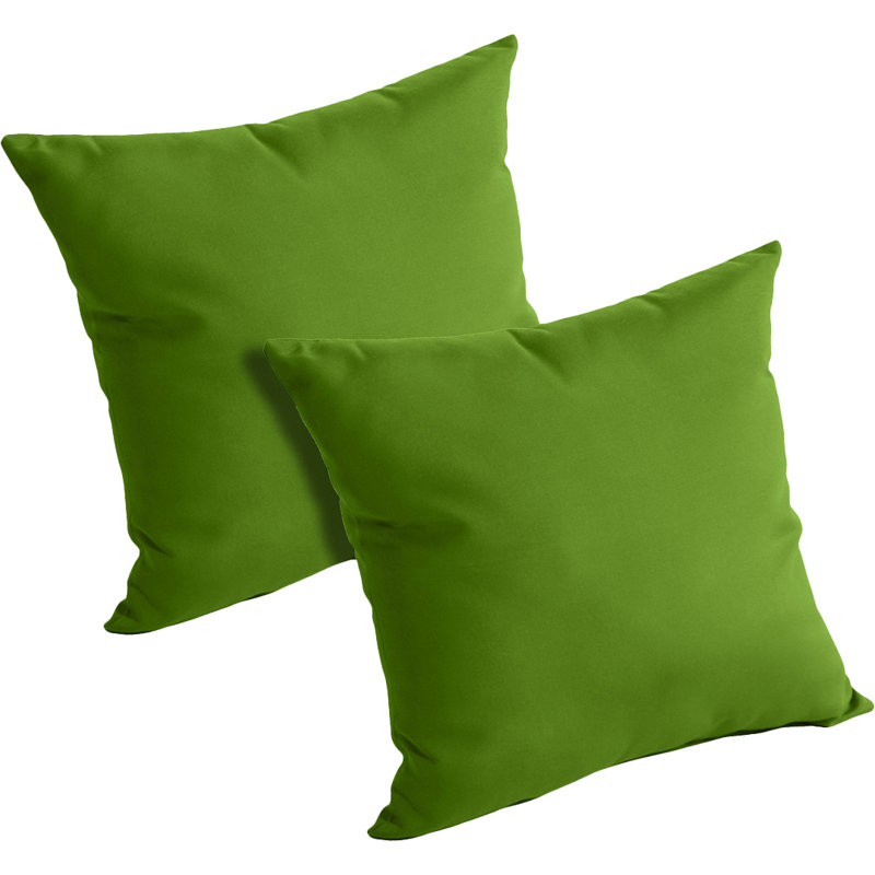  Outdoor Throw Pillow, Macaw