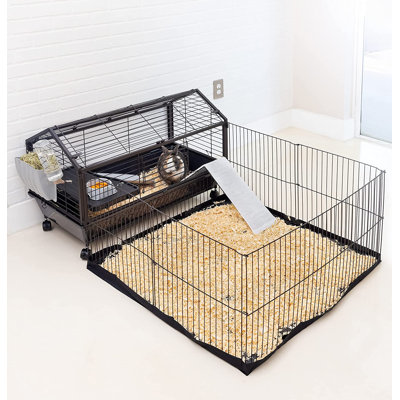 Dayeli Weather Resistant Small Animal