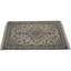 Orlean Oriental Area Rug in Beige