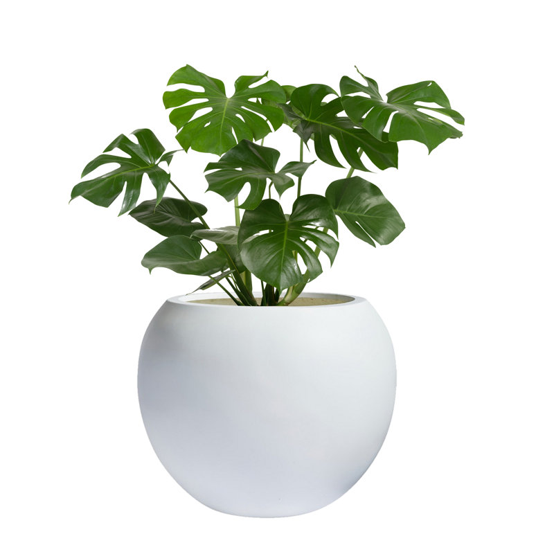 Dorlis Fiberstone Pot Planter, 13.5" H x 17" W x 17" D, White