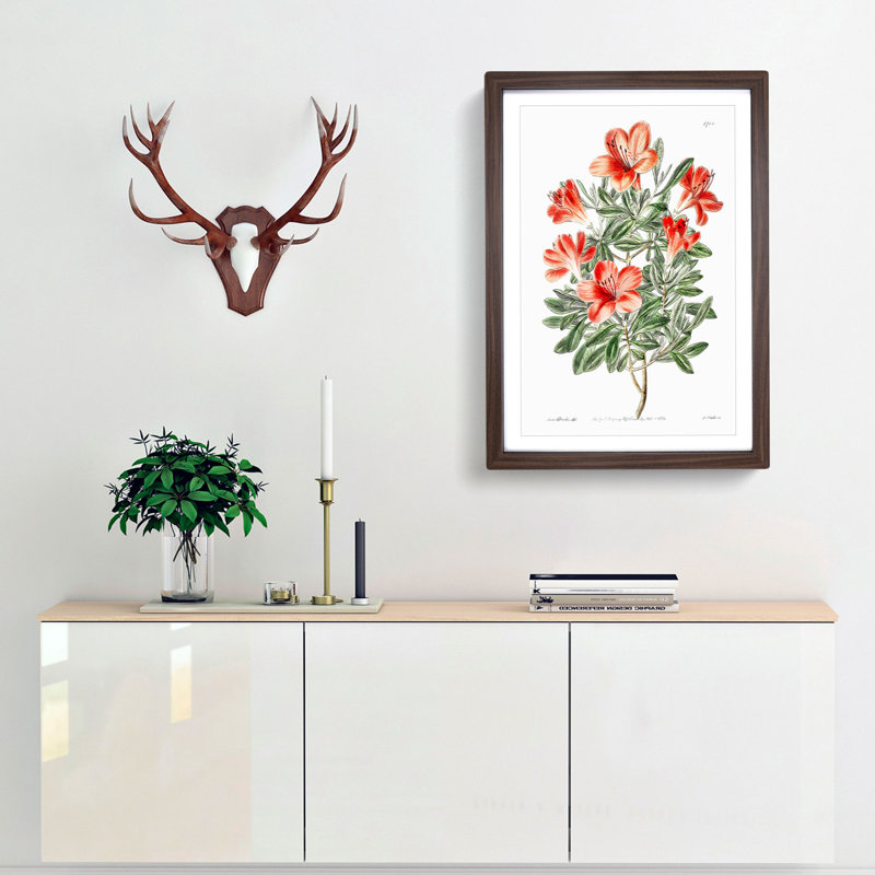 Red Chinese Azalea Flowers - Picture Frame Painting Print, 48cm H x 36cm W x 2cm D, Walnut Framed